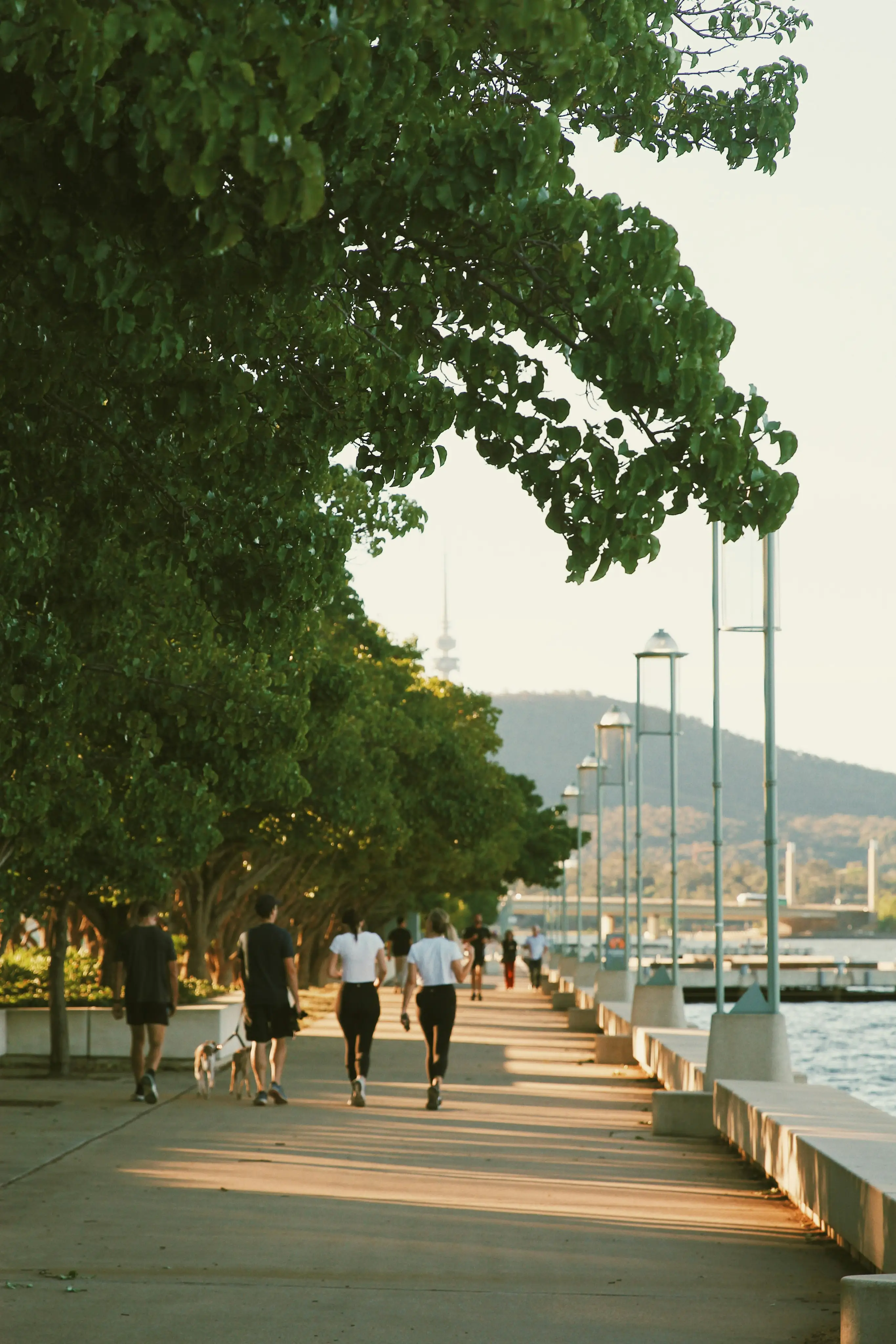 Pedestrian zones and promenades